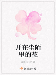 開在塵陌裏的花
