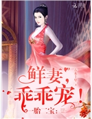 一胎二寶:鮮妻,乖乖寵! 一胎二寶:鮮妻,乖乖寵!