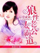 掠愛成歡：狼性老公太霸道