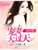 一見終婚：寵妻大過天