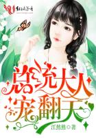 總統大人，寵翻天