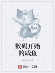 數碼開始的鹹魚