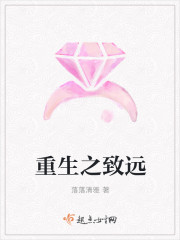 重生之致遠