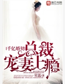 千億婚契,總裁寵妻上癮 千億婚契,總裁寵妻上癮