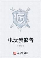 電玩流浪者