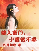 嫁入豪門，小妻很不乖