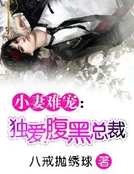 小妻難寵：獨愛腹黑總裁