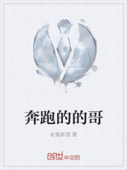 奔跑的的哥