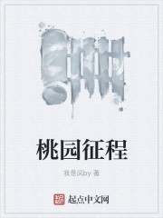 桃園征程
