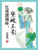 紅樓瀟湘碎：黛魂玉影