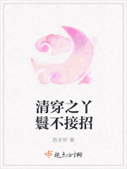 清穿之丫鬟不接招 清穿之丫鬟不接招