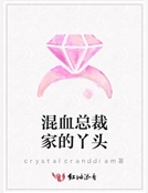 混血總裁家的丫頭