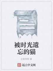 被時光遺忘的貓