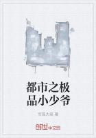 都市之極品小少爺