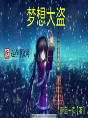 夢想大盜