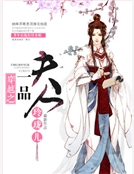 穿越之一品夫人