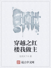 穿越之紅樓我做主