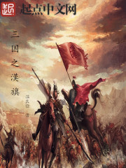 三國之大漢旗