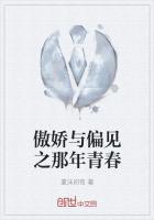 傲嬌與偏見之那年青春