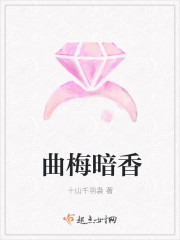 曲梅暗香