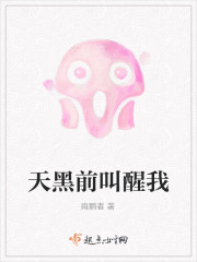 天黑前叫醒我