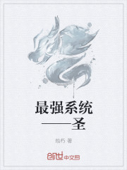 狂暴係統——聖