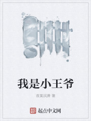 我是小王爺