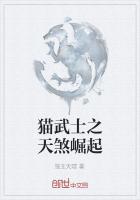 貓武士之天煞崛起