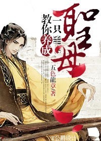 教你養成一隻聖母