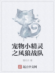 寵物小精靈之風狼戰隊