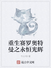 重生賽羅奧特曼之永恒光輝