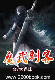 魔武刺客