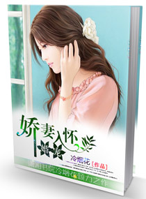 嬌妻入懷
