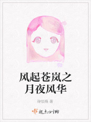 風起蒼嵐之月夜風華