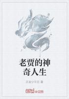 老賈的神奇人生