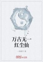 萬古無一紅塵仙