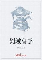 劍域高手