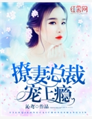 撩妻總裁寵上癮