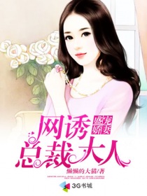 盛寵嬌妻：網誘總裁大人