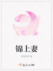 錦上妻