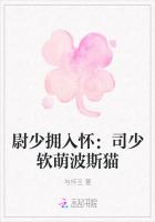 尉少擁入懷：司少軟萌波斯貓