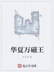 華夏萬磁王