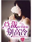 好孕成雙：總裁別高冷