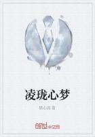 玲瓏心夢之淩妃狂