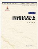 西南抗戰史
