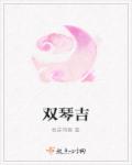 雙琴吉