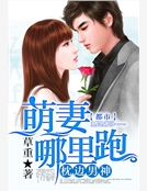 枕邊男神：萌妻哪裏跑