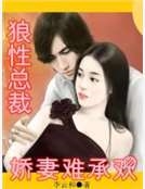 狼性總裁：嬌妻難承歡