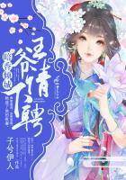 暗香傾城：王爺，請下聘！