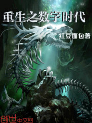 重生之數字時代